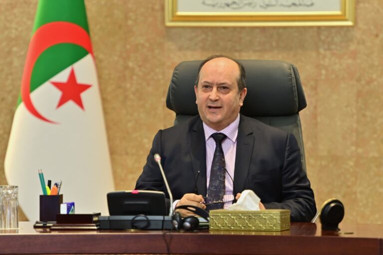 استيراد مليون رأس غنم تحسبا لعيد الأضحى المقبل