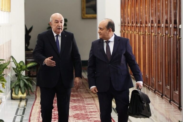 الرئيس تبون للحكومة: لن أقبل مستقبلا إلا بالوتيرة العالية في تنفيذ التوجيهات