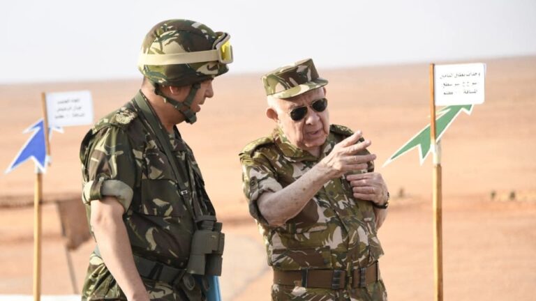 الفريق أول شنقريحة يشرف على تنفيذ تمرين تكتيكي بالذخيرة الحية بأمدوكال