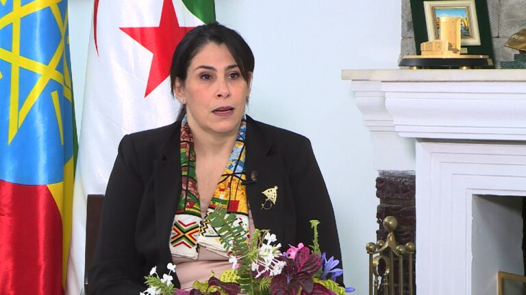 حدادي تشيد بالمقاربة الشاملة التي تتبناها الجزائر تجاه إفريقيا